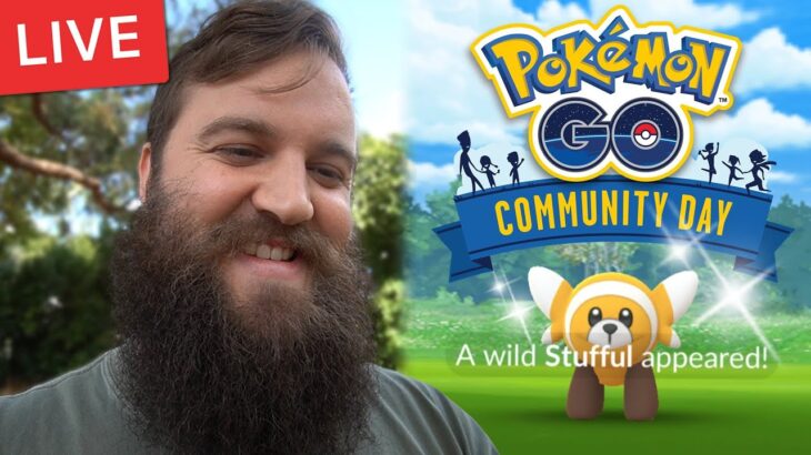 Stufful Community Day Live Shiny Hunt Pokemon Go