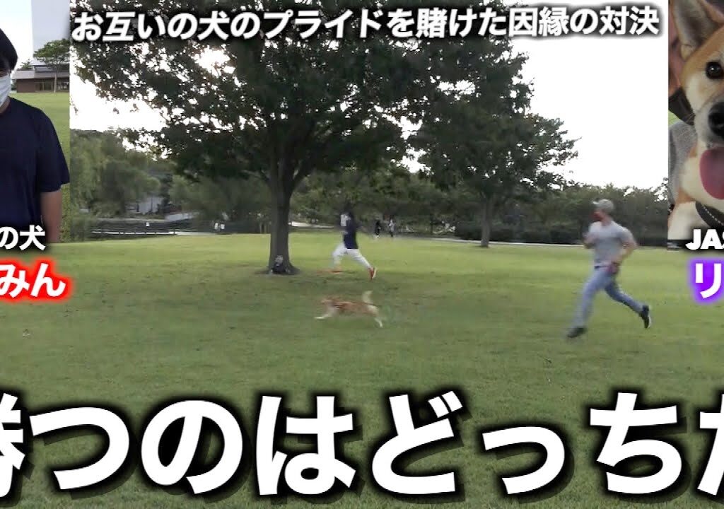 【ドッグランレース】JASH VSゆずみん！どっちの犬が優秀なのか熾烈な戦いが今始まる！！